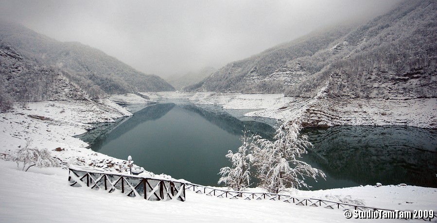 Tutto è immobile sul lago.jpg